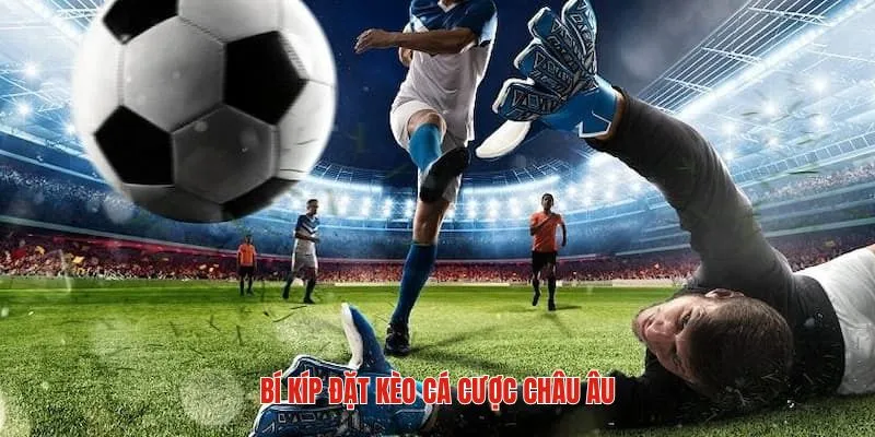 Chiến lược nên áp dụng để nâng cao xác suất thắng