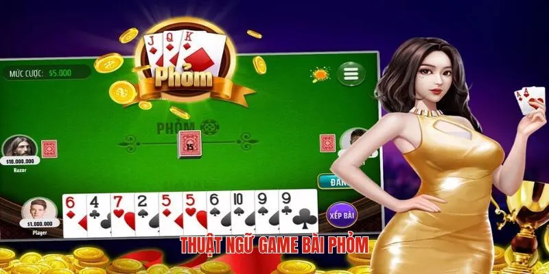 Thuật ngữ quan trọng nên nhớ trong cách chơi phỏm